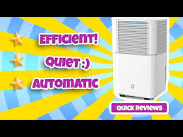 Humilabs Home Dehumidifier Quick Review