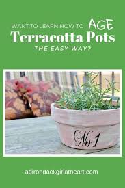 How To Age Terracotta Pots Adirondack