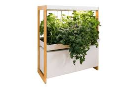 The 8 Best Indoor Herb Garden Kits Of 2022