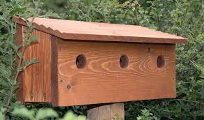 Buy Personalised Sparrow Nest Box