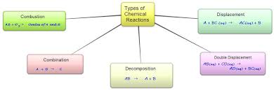 Cbse Papers Questions Answers Mcq