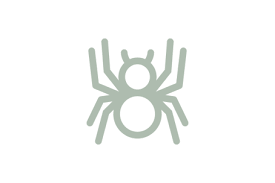 Spider In My San Diego Home Dangerous