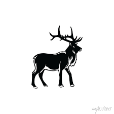 Deer Elk Moose Logo Vector Strong