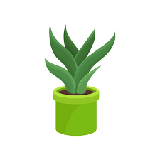 Aloe Vera In Bright Green Ceramic Pot