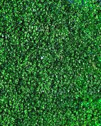 Grass Wall Images Free On