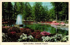 Bryan Park Azalea Gardens Postcard