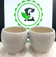 Plain White Ceramic Flower Pot At 259
