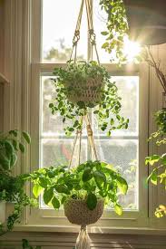 38 Unique Herb Garden Ideas For Indoor