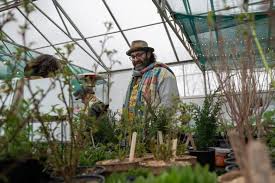 Toronto Native Plant Market Helps