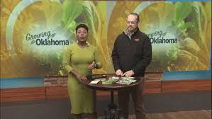 Garden For The Home In The Winter Kokh