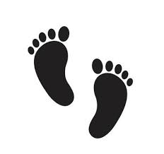 Foot Vector Art Icons And Graphics