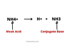 Is Nh4 An Acid Or Base Techiescientist