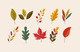 Premium Vector Autumn Leaves Icon Set