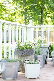 Container Herb Garden Ideas Grow Your