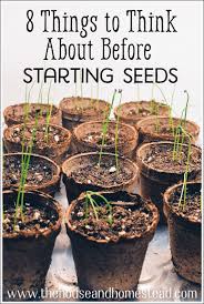 Starting Seeds