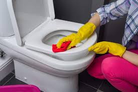 How To Remove Stains From Toilet Seat