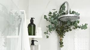 Hang This Plant In Your Shower For An