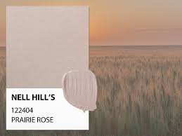Nell Hill S Paint Line Prairie Rose
