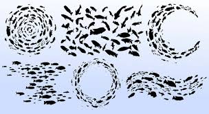 School Of Fish Vector Images Browse