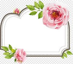 Pink Flowers Ilration Flower