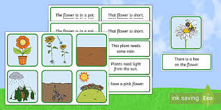 Growing Plants Simple Sentence Matching