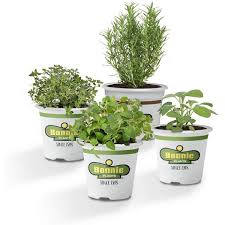Urban Herb Garden Plant Kit