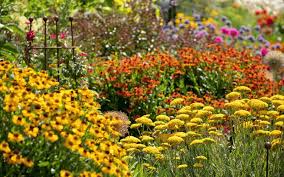 Garden Border Ideas The English Garden