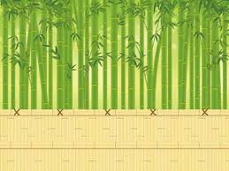 Real Bamboo Forest Background Material