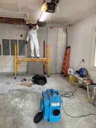 Mold Removal In Fort Lauderdale Fl