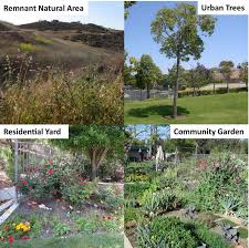 Four Types Of Urban Vegetation And Or