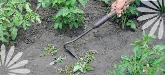 Keep Weeds Out Of The Garden Naturally