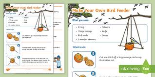 Make Your Own Bird Feeder Teacher Made