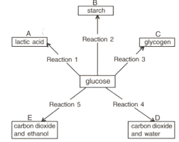 Given Below The Chemical Reactions 1 To