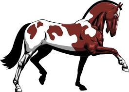 Paint Horse Vector Art Icons And