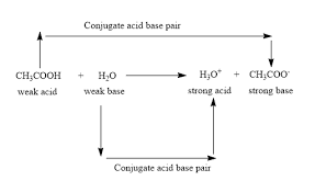 Which Of The Following Is A Weak Acid