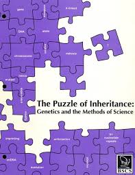 Puzzle Of Inheritance Genetics And The
