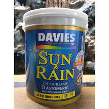 Buy Sun And Rain Paint 1 Gallon