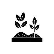 Tree T Pruning Olor Line Icon