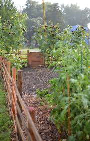 Backyard Garden Layout Garden Layout