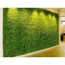 Pp Green Artificial Wall Grass At Rs