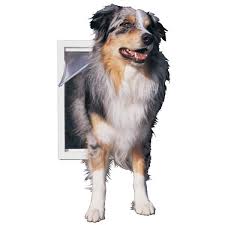 Original Frame Dog And Pet Door Ppdxl