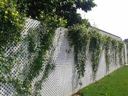 8ft Decorative Lattice Fencing