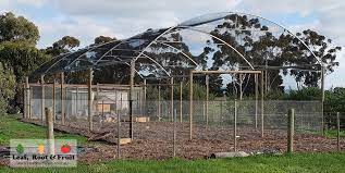 Backyard Orchard Netted Structures