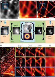 High Fidelity 3d Live Cell Nanoscopy