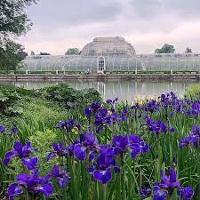 Plan For Kew Gardens To Decolonise