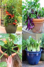 Best Vegetables For Container Gardening