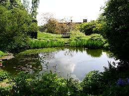 New Barn Garden Design Surrey