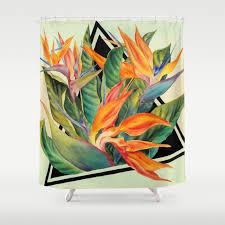 Shower Curtain