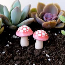 Blush Miniature Mushrooms Terrarium