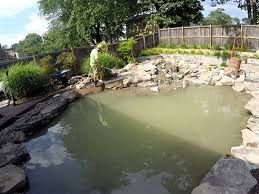 Build A Koi Pond With A Waterfall